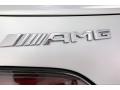 2020 Mercedes-Benz AMG GT Coupe Badge and Logo Photo