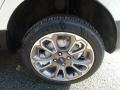 White Platinum Metallic - EcoSport Titanium 4WD Photo No. 10