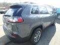 Sting-Gray - Cherokee Latitude Plus 4x4 Photo No. 6