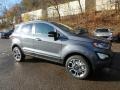 Smoke Metallic - EcoSport SES 4WD Photo No. 9