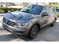 Platinum Gray Metallic - Tiguan SE Photo No. 4
