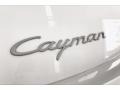 2010 Carrara White Porsche Cayman   photo #23