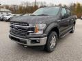 2019 Magnetic Ford F150 XLT SuperCrew 4x4  photo #1