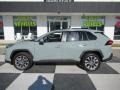 Lunar Rock - RAV4 XLE Photo No. 1