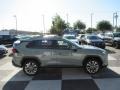 Lunar Rock - RAV4 XLE Photo No. 3