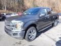 Magnetic 2019 Ford F150 XLT SuperCab 4x4 Exterior