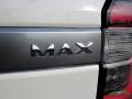 Star White - Expedition Platinum Max 4x4 Photo No. 43