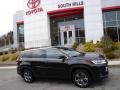 2019 Midnight Black Metallic Toyota Highlander Limited Platinum AWD  photo #2