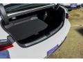 Platinum White Pearl - ILX  Photo No. 19