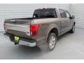 2020 Stone Gray Ford F150 King Ranch SuperCrew 4x4  photo #8