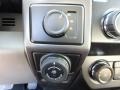 Earth Gray Controls Photo for 2019 Ford F150 #136108277