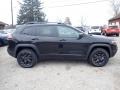 Diamond Black Crystal Pearl 2020 Jeep Cherokee Latitude 4x4 Exterior