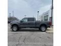 Magnetic - F350 Super Duty Lariat Crew Cab 4x4 Photo No. 2