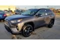 Magnetic Gray Metallic 2019 Toyota RAV4 XSE AWD Hybrid Exterior