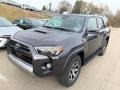 Magnetic Gray Metallic - 4Runner TRD Off-Road Premium 4x4 Photo No. 3