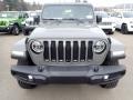 Sting-Gray - Wrangler Unlimited Sahara 4x4 Photo No. 8