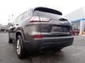 2019 Granite Crystal Metallic Jeep Cherokee Latitude Plus 4x4  photo #5