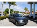 Platinum Gray Metallic - Tiguan SE Photo No. 1