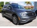 Platinum Gray Metallic - Tiguan SE Photo No. 2