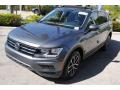 Platinum Gray Metallic - Tiguan SE Photo No. 4