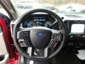 Earth Gray Steering Wheel Photo for 2019 Ford F150 #136186975