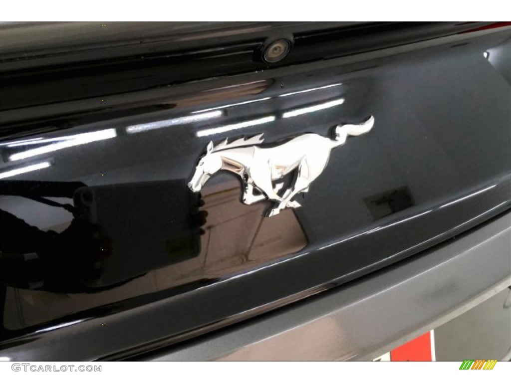 2015 Mustang EcoBoost Premium Convertible - Magnetic Metallic / Ebony photo #21