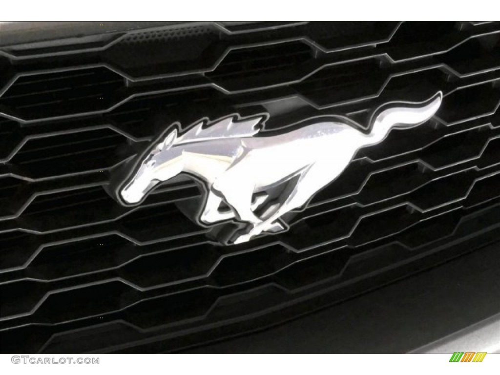 2015 Mustang EcoBoost Premium Convertible - Magnetic Metallic / Ebony photo #26