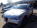 Silverstone Gray Metallic - Stelvio AWD Photo No. 11