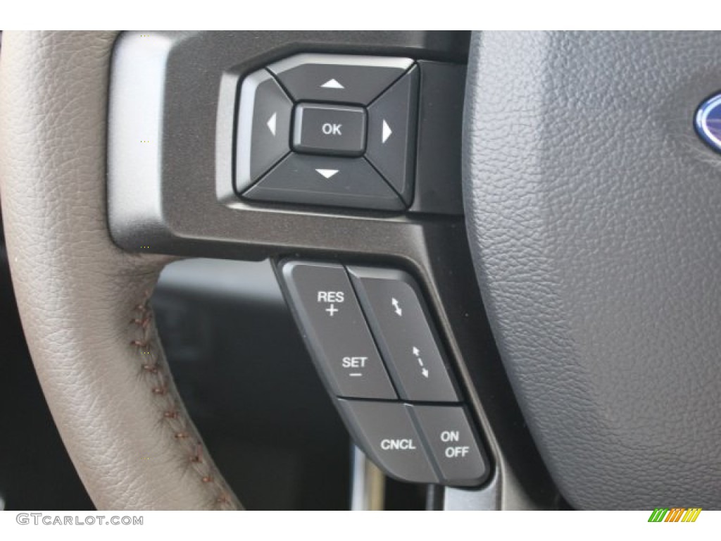 2020 Ford Expedition King Ranch Max King Ranch Del Rio/Ebony Steering Wheel Photo #136200823