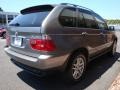 Stratus Grey Metallic - X5 3.0i Photo No. 6
