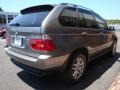 2006 Stratus Grey Metallic BMW X5 3.0i  photo #6