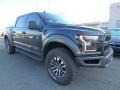 2019 Agate Black Ford F150 SVT Raptor SuperCrew 4x4  photo #1