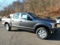 2020 Magnetic Ford F150 XL SuperCrew 4x4  photo #9