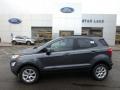 Smoke Metallic - EcoSport SE 4WD Photo No. 1