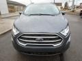Smoke Metallic - EcoSport SE 4WD Photo No. 2
