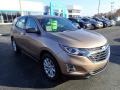 Sandy Ridge Metallic - Equinox LS Photo No. 8