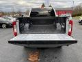 2019 Ingot Silver Ford F250 Super Duty XLT Crew Cab 4x4  photo #9