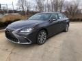 Nebula Gray Pearl 2020 Lexus ES 350 Exterior