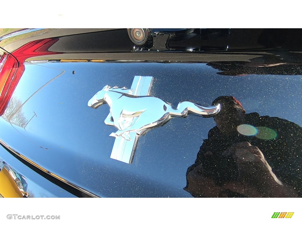 2015 Mustang V6 Convertible - Black / Ebony photo #9