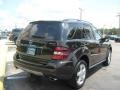 Obsidian Black Metallic - ML 350 4Matic Photo No. 3