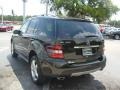 2008 Obsidian Black Metallic Mercedes-Benz ML 350 4Matic  photo #5