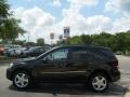 Obsidian Black Metallic - ML 350 4Matic Photo No. 6