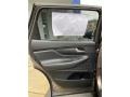 Black 2020 Hyundai Santa Fe SE AWD Door Panel