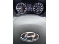 2020 Hyundai Santa Fe Black Interior Gauges Photo