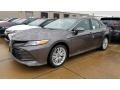 Predawn Gray Mica - Camry Hybrid XLE Photo No. 1