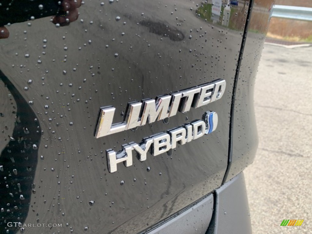 2020 Toyota RAV4 Limited AWD Hybrid Marks and Logos Photo #136328816