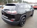 2020 Diamond Black Crystal Pearl Jeep Cherokee Latitude Plus 4x4  photo #5