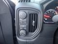 Controls of 2020 Silverado 1500 Custom Trail Boss Double Cab 4x4