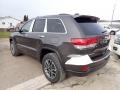 2020 Granite Crystal Metallic Jeep Grand Cherokee Limited 4x4  photo #3