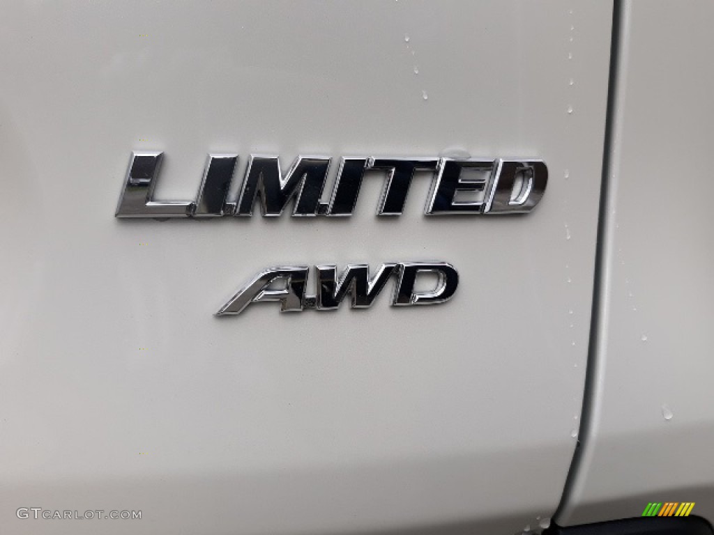 2020 Toyota RAV4 Limited AWD Marks and Logos Photo #136345625